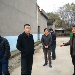 港口街镇开展农村生活垃圾综合治理大检查活动