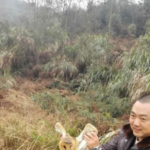 警民联手救治 草{重返蓝天