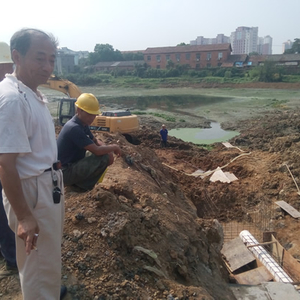 沙河街镇扎实推进重点山塘整治工程