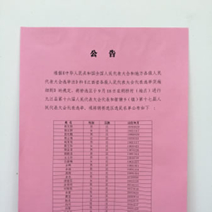 新塘乡选民登记工作全面完成并张榜公示