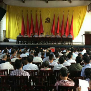 江洲镇：高举党的旗帜，顺利完成选举任务