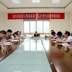 宣传系统学习贯彻十五次党代会精神座谈会召开