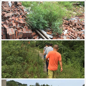 沙河街镇实地清查“两违”建房