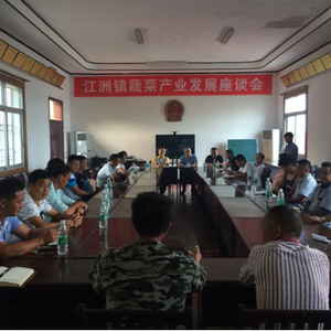 江洲镇召开蔬菜产业发展座谈会