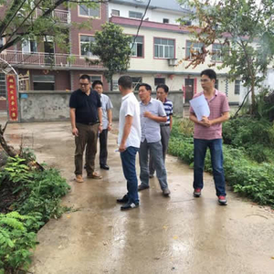 狮子镇组织农村生活垃圾治理交叉评比活动