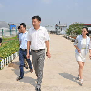 县委常委纪委书记到新塘乡、新合镇调研指导工作