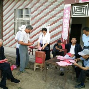 城子镇做好县乡两级人大代表选举工作