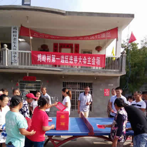 狮子镇做好县乡人大代表换届选举工作