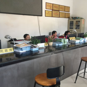 保障民生 服务百姓——狮子镇便民服务中心