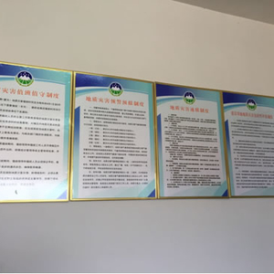 沙河街镇：制度上墙，工作上心