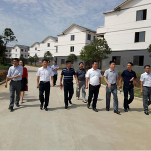 省委农工部督察组来沙河街镇督查新农村建设工作