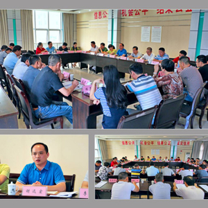 九江县国土资源局召开“十六项”重点工作第六次调度会