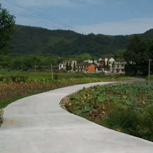 新塘富源为民铺设 “幸福路”