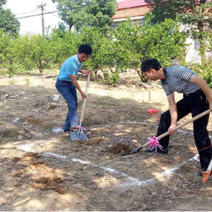 岷山乡农业技术推广综合站顺利开工