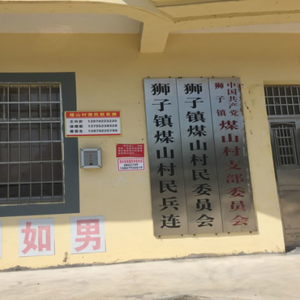 狮子镇：“两学一做”我们在行动
