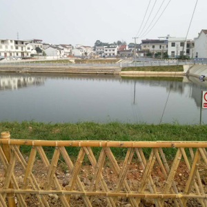 沙河开发区：秀美陈家村