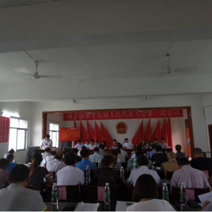 城子镇召开第十七届人民代表大会第一次会议