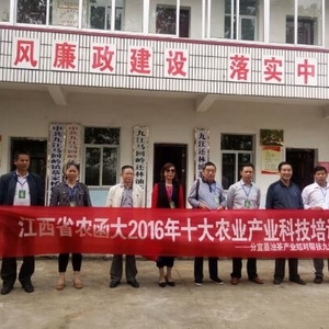 九江县科协陪同分宜县科协组织参观还林油茶基地
