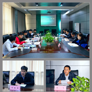 省国土资源厅验收组到九江县检查验收地质灾害防治高标准“十有县”建设工作 ...