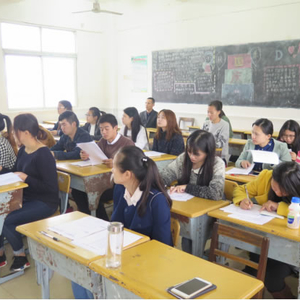 新合小学青年教师活动纪实