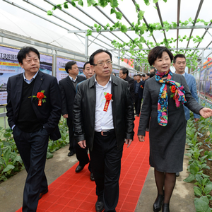 全市首家“蔬菜公园”在我县开园揭牌