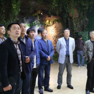 浙江湖州企业考察团到港口街镇参观考察