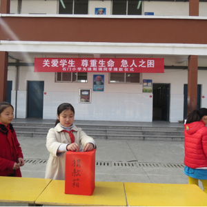 沙河开发区小学师生捐款献爱心