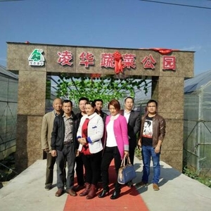 港口街镇：抓紧学习 推进产业扶贫
