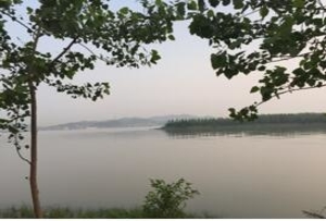 新洲，让我依偎在“你”的怀里