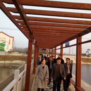 省新农村建设考核验收组到城子镇验收中心村工作