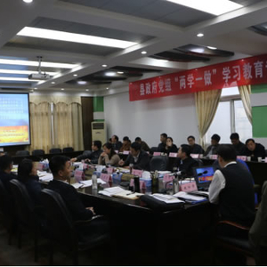县政府党组召开“两学一做”学习教育专题研讨会